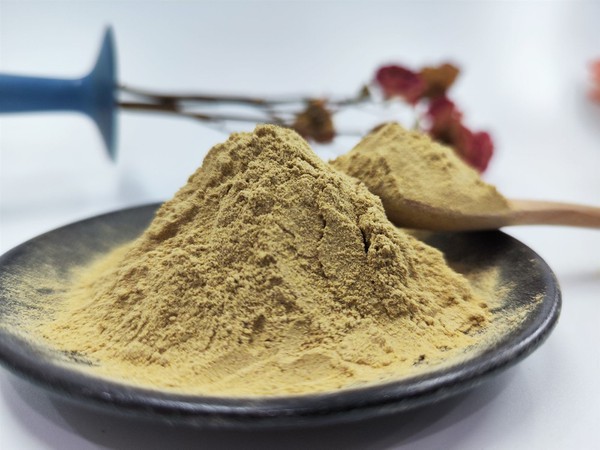Ashwagandha Extract Ashwagandha Extract