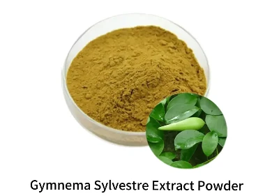 gymnema sylvestre extract powder gymnema sylvestre extract powder