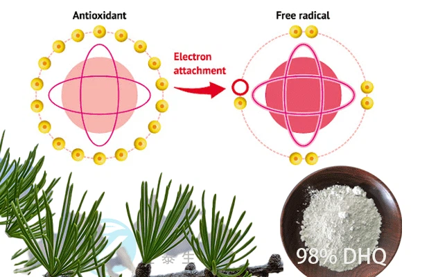 Antioxidant Properties Of Taxifolin Antioxidant Properties Of Taxifolin