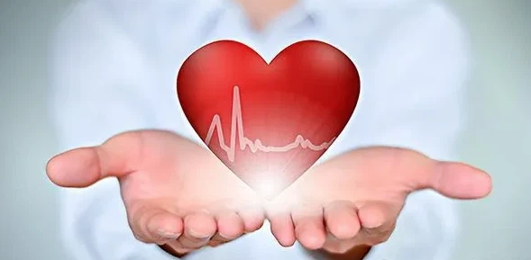 Cardiovascular Benefits Of Taxifolin Cardiovascular Benefits Of Taxifolin