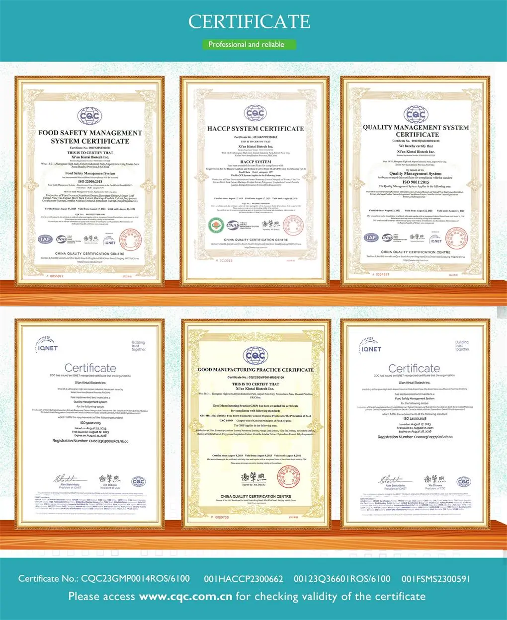 certification certification