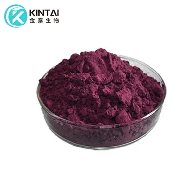 Acai Berry Estratt